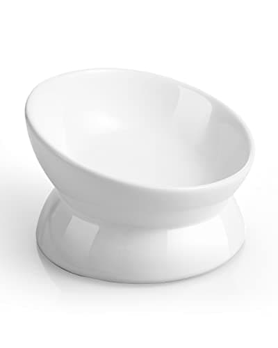 LoeJan Elevated Cat Food Bowl, 5 Oz Ceramic Raised and Tilted Water Bowl, Anti Vomiting and Protect Pets' Spines Dishes for Small Dog, Fat Faced Cat, Kitten (White, 1 Pack)