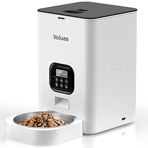 8 Best Automatic Cat Feeders in 2026 — Reliable Feeding for Busy Cat Parents