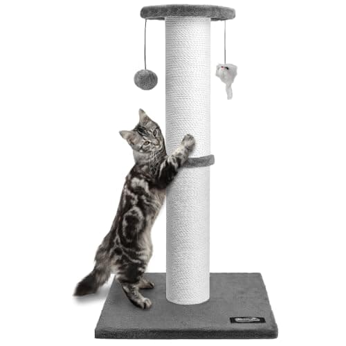 8 Best Heavy-Duty Scratching Posts for Aggressive Scratchers in 2026 — Stable, Tall Picks That Help Save Furniture