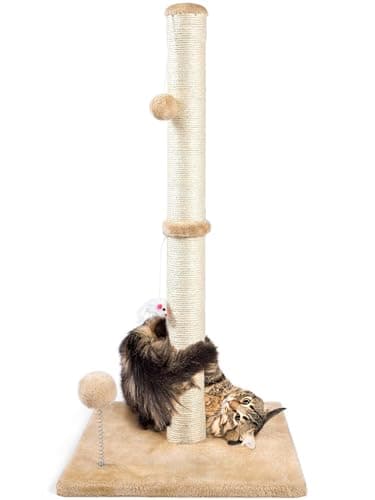 8 Best Cat Scratching Posts in 2026 — Tall, Stable Picks That Help Save Your Furniture