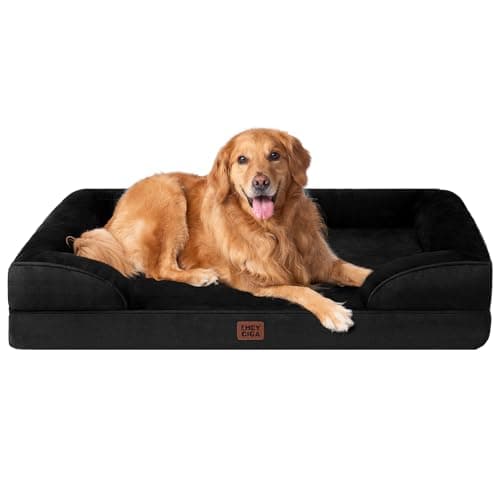 Best Cheap Orthopedic Dog Beds for Every Budget in 2026: Ranked by Price & Performance