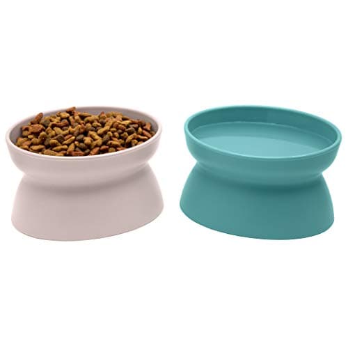 8 Best Whisker Friendly Cat Bowls in 2026 — Shallow, Comfortable Picks for Less Mealtime Stress