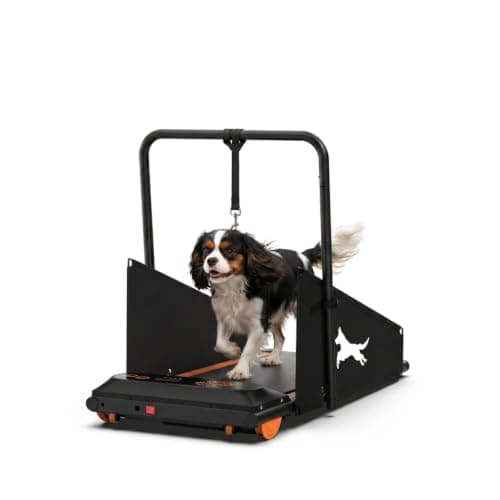 Lastforever Dog Treadmill & Pet Exercise Machine for Small & Medium at Home | 2.5HP Power Motor;LED Display;Remote Control;220LBS Capacity