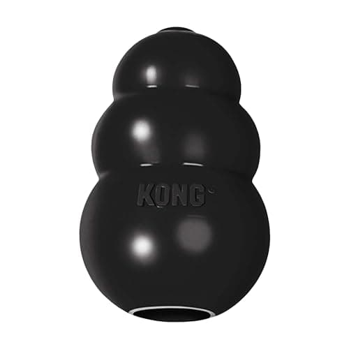 KONG Extreme Dog Toy Review (2026): Specs, Pros & Cons, and Who It’s For