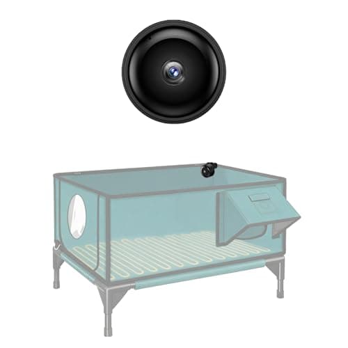 How to Choose the Best Cat Camera with Night Vision in 2026: Complete Buying Guide