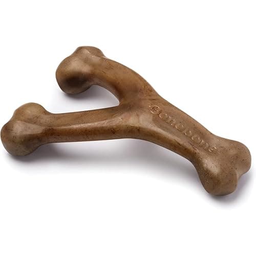 8 Best Chew Toys for Aggressive Chewers in 2026 — Tough Picks That Last Longer