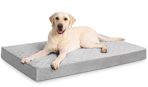 NUPIDA Orthopedic XL Dog Beds Large Sized with Washable Cover, 41x27, Grey