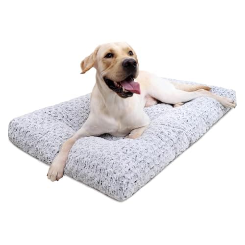 How to Choose the Best Dog Bed in 2026: Complete Buying Guide