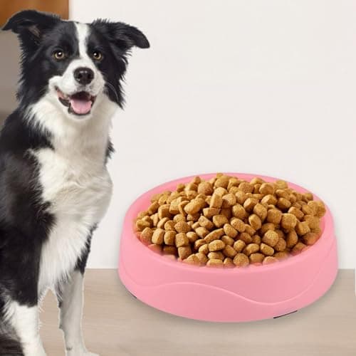 Best Cheap Slow Feeder Bowls for Every Budget in 2026: Ranked by Price & Performance