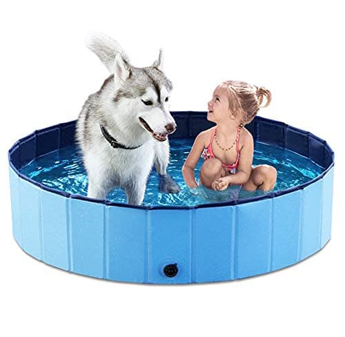 8 Best Collapsible Dog Pools for Large Breeds in 2026 — Easy Cooling, Fast Cleanup, and Space-Saving Storage