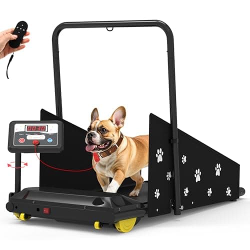 8 Best Dog Treadmills for Apartment Dogs in 2026 — Quiet, Space-Saving Indoor Exercise Picks