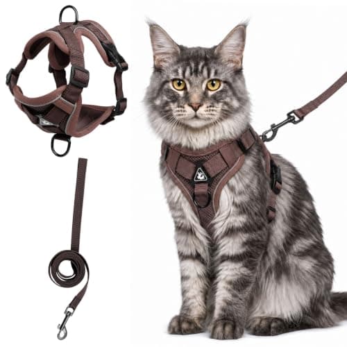 Large Cat Harness and Leash Set| Escape Proof Adjustable Mesh Vest with Reflective Strips, No-Choke Soft Breathable Harness for Small Dog Big Kitten, Brown, L