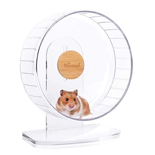 8 Best Hamster Wheels in 2026 — Quieter, Safer Picks for Happier Night Runs
