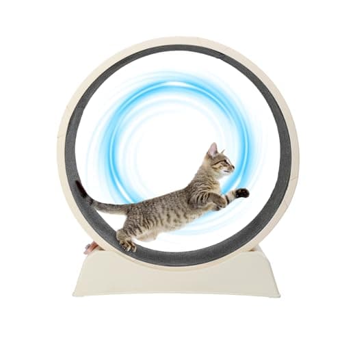 VINGLI Cat Exercise Wheel, 31" Cat Treadmill for Indoor Cats