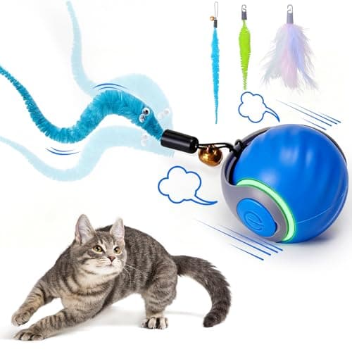 8 Best Interactive Cat Toys in 2026 — Smarter Play for Busy, Bored Cats