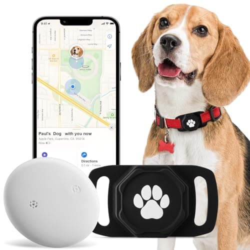 What is do gps dog collars need a subscription? A Complete 2026 Guide