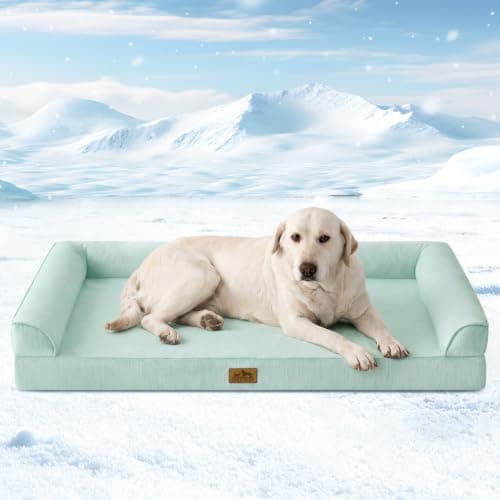 COZY KISS Cooling Dog Bed for Extra Large Dogs, 48"x32" Orthopedic Foam Sofa with Bolster Sides, Q-Max >0.4 Cooling Technology, Cool Pet Bed with Removable Washable Cover, Green