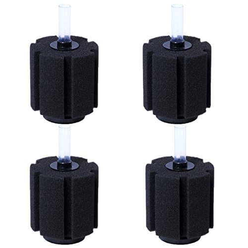 8 Best Sponge Filters in 2026 — Gentle, Fry-Safe Filtration for Shrimp and Nano Tanks