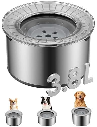 8 Best No Spill Dog Water Bowls in 2026 — Cleaner Floors, Drier Fur, Less Mess