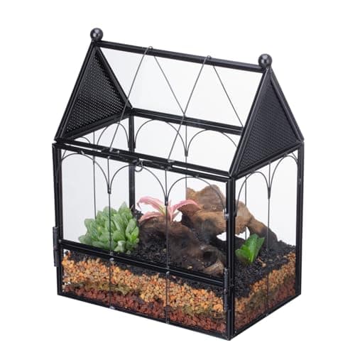 NCYP Small Glass Terrarium Enclosure with Mesh for Jumping Spiders, Micro House Shaped Small Spiders Vented Glass Terrarium, Home Decor Black, 5.8" x 3.8" x 7" (No Plants)
