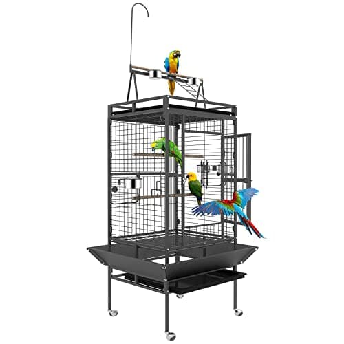 8 Best Parrot Cages in 2026 — Spacious, Safer Homes for Small to Large Birds