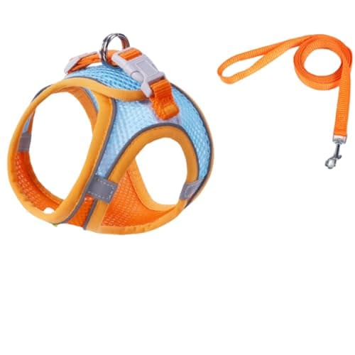 Best Budget Dog Harnesses for Every Budget in 2026: Ranked by Price & Performance