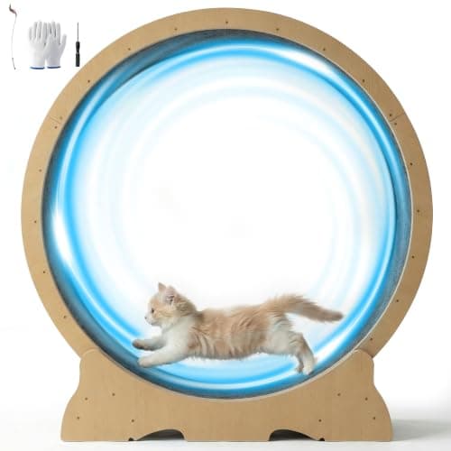 How to Choose the Best Cat Exercise Wheel in 2026: Complete Buying Guide