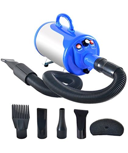 8 Best Dog Blow Dryers in 2026 — Faster Drying, Less Frizz, and Better Grooming Control