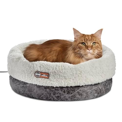 8 Best Heated Cat Beds in 2026 — Cozy Warmth for Cats Who Hate the Cold