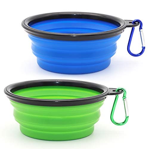 8 Best Travel Dog Bowls in 2026 — Packable Picks for Mess-Free Trips