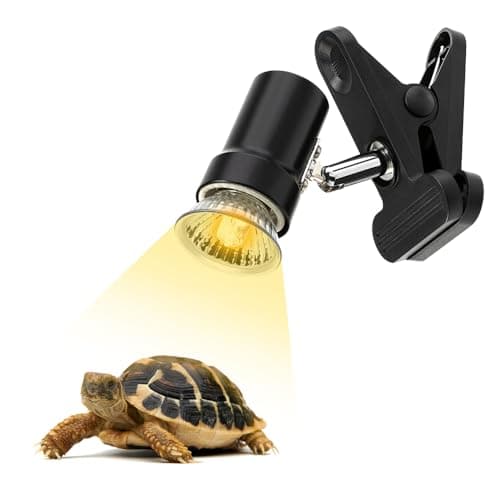 What is Reptile Heating and Lighting Explained? A Complete 2026 Guide