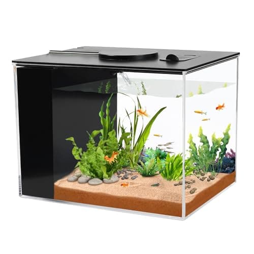 8 Best Betta Fish Tanks in 2026 — Space-Saving Setups for Healthier, Happier Bettas
