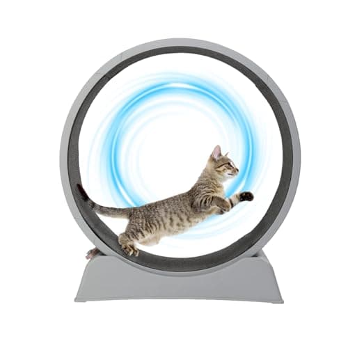 VINGLI Cat Exercise Wheel, 31" Cat Running Wheel