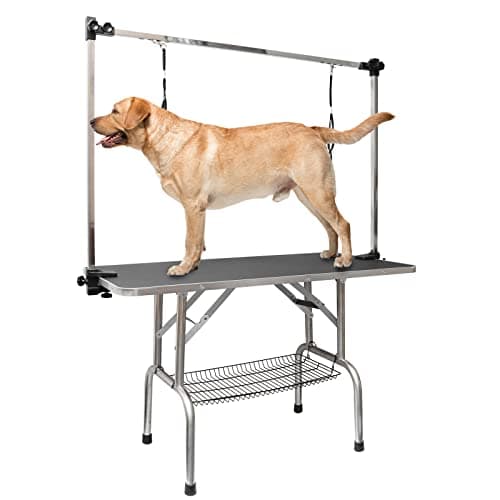 8 Best Dog Grooming Tables in 2026 — Stable, Space-Saving Picks for Safer Home Grooming