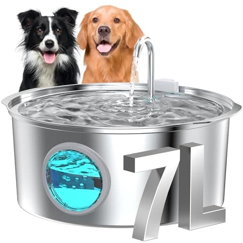 7 Best Dog Water Fountains in 2026 — Quiet, Large-Capacity Picks for Cleaner Hydration