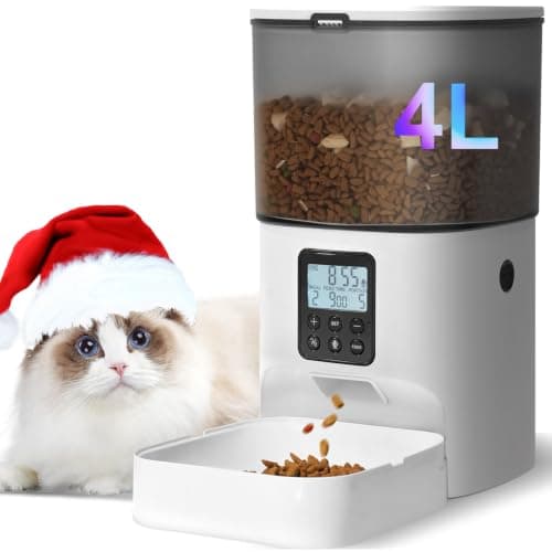 8 Best Automatic Cat Feeders in 2026 — Reliable Feeding for Busy Cat Parents