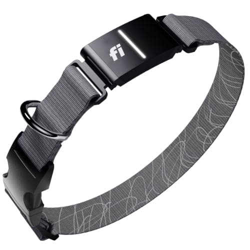 Fi Series 3+ Smart GPS Dog Collar & Pet Tracker, Gray, Large | Real-time location tracking device, Escape Alerts, health/activity monitoring, IP68/66K waterproof, LED light, iPhone/Android
