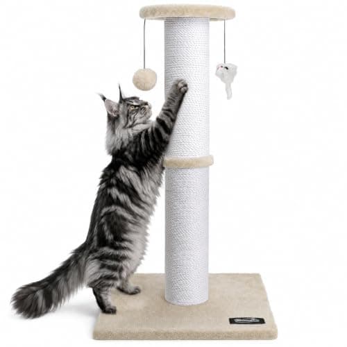 Ahomdoo 34-Inch Tall Cat Scratching Post for Large Cats, Stable Base, Beige