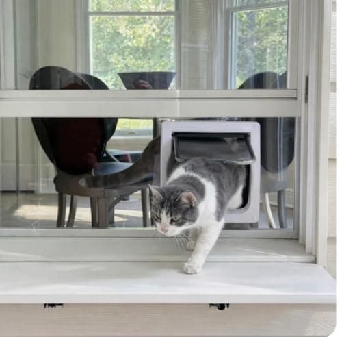 How to Choose the Best Insulated Cat Flap for Cold Climates in 2026: Complete Buying Guide