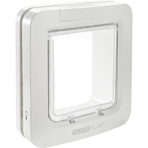 8 Best Microchip Pet Doors in 2026 — Secure, Stray-Proof Access for Cats and Small Dogs