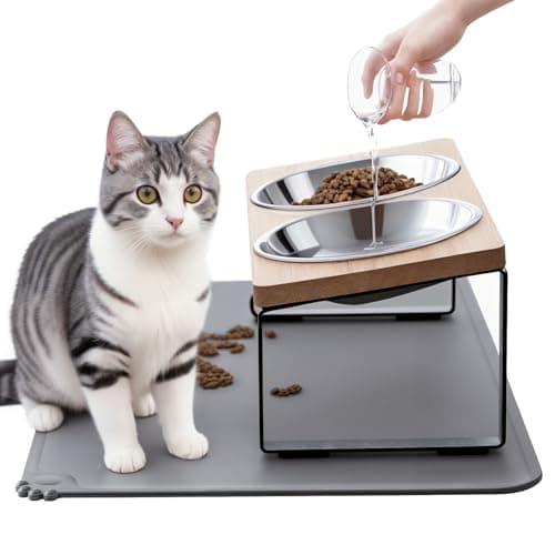 8 Best Elevated Cat Bowls in 2026 — Whisker-Friendly Picks for Cleaner, More Comfortable Mealtimes