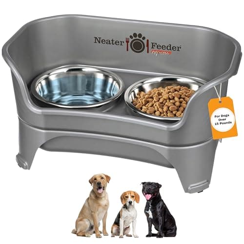 Neater Feeder Review (2026): Specs, Pros & Cons, and Who It's For