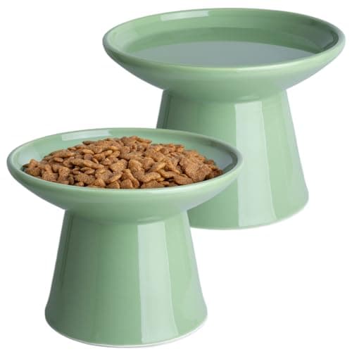 KITCHENLESTAR Ceramic Elevated Cat Food Bowls,6.2" Wide,2-Pack,Green