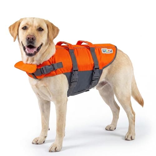 4 Best Dog Life Jackets for Large Breeds in 2026 — Safer Buoyancy, Better Fit, and Easier Rescue