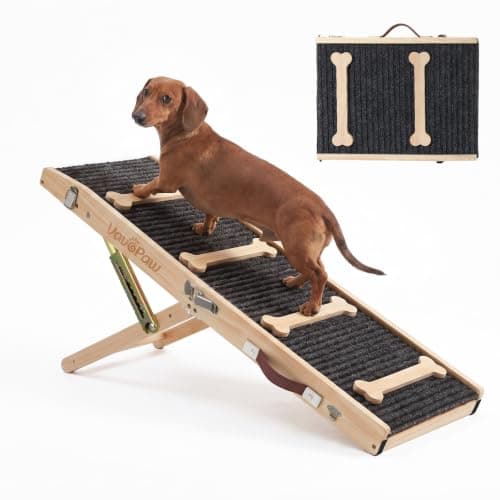 How to Choose the Best Dog Ramp for Senior Dogs in 2026: Complete Buying Guide