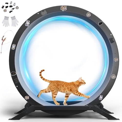 8 Best Cat Exercise Wheels in 2026 — Quiet, Stable Picks for Indoor Cats That Need More Activity