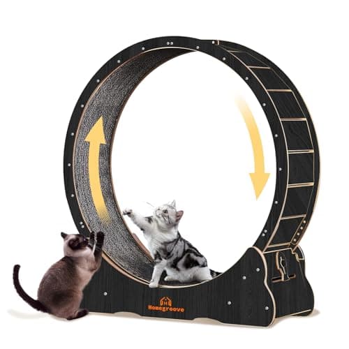 Homegroove Cat Wheels for Indoor Cats, 43 Inch