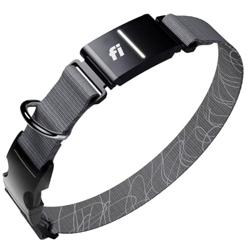 Fi Series 3+ GPS + Health Dog Collar, Gray, Large, 12-Month Membership Review (2026): Specs, Pros & Cons, and Who It’s For