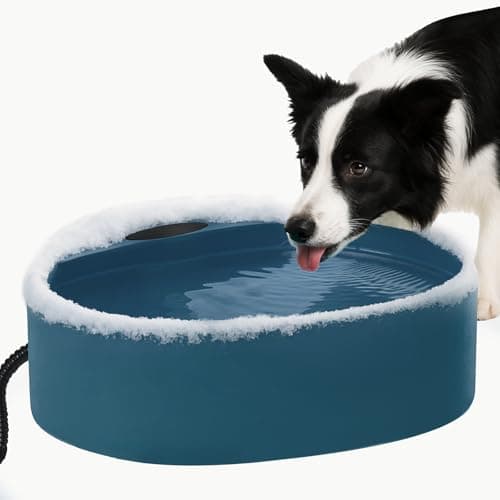 8 Best Heated Water Bowls for Outdoor Dogs in 2026 — Freeze-Proof Hydration for Winter Yards, Barns, and Porches