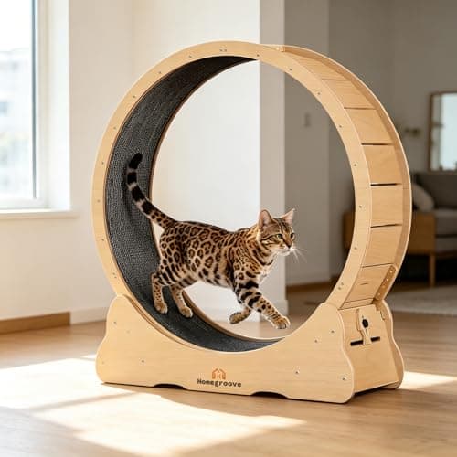 Homegroove Cat Exercise Wheel for Indoor Cats, 46 Inch